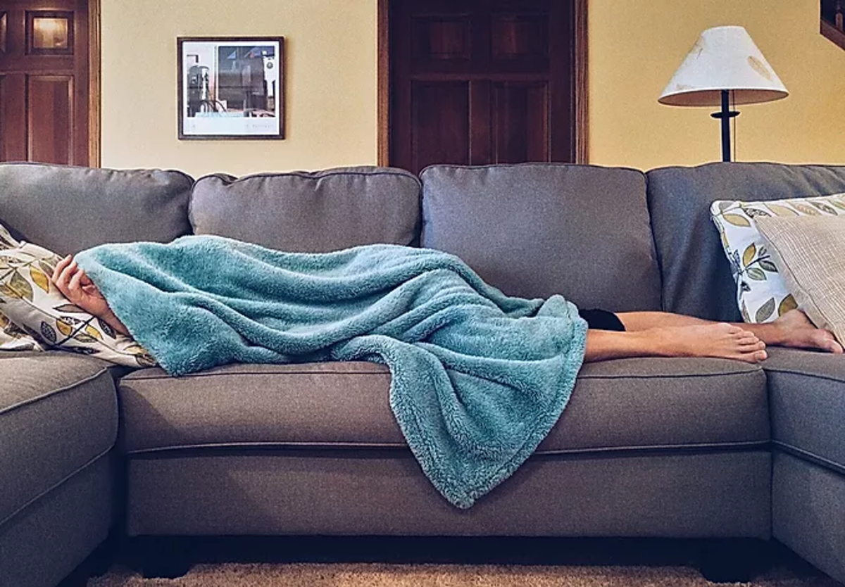 asleep on sofa in living room